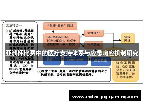 亚洲杯比赛中的医疗支持体系与应急响应机制研究