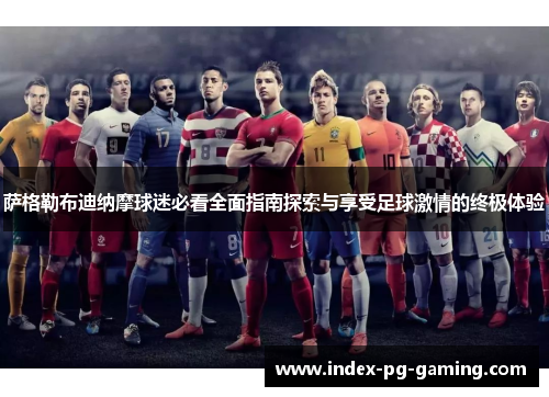 萨格勒布迪纳摩球迷必看全面指南探索与享受足球激情的终极体验