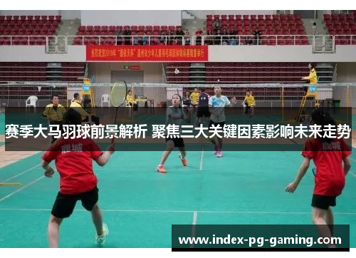 赛季大马羽球前景解析 聚焦三大关键因素影响未来走势