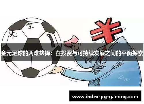 金元足球的两难抉择：在投资与可持续发展之间的平衡探索