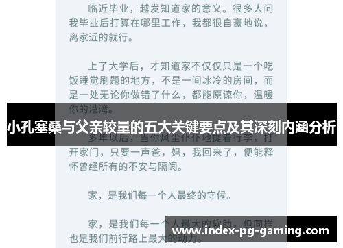 小孔塞桑与父亲较量的五大关键要点及其深刻内涵分析