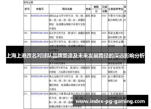 上海上港改名对球队品牌塑造及未来发展路径的深远影响分析