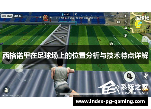 西格诺里在足球场上的位置分析与技术特点详解