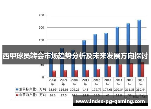 西甲球员转会市场趋势分析及未来发展方向探讨